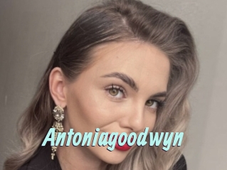 Antoniagoodwyn