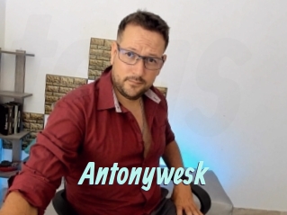 Antonywesk