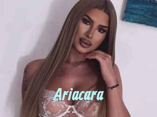 Ariacara