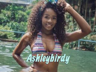 Ashleybirdy