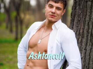 Ashtoncolt