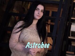 Astrobee