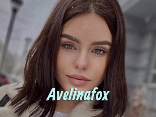 Avelinafox