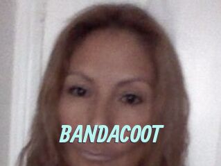 BANDACOOT