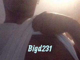 Bigd231