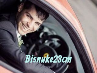 Bisnuke23cm