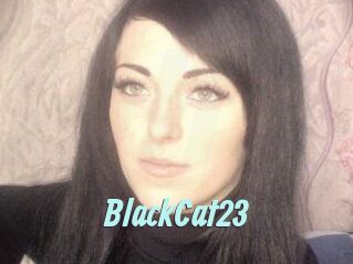 BlackCat23