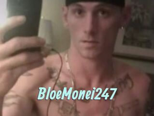 BloeMonei247