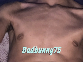 Badbunny75