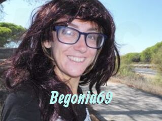 Begonia69