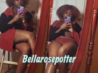 Bellarosepotter