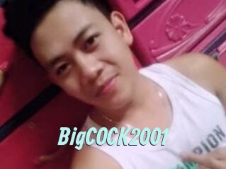 BigCOCK2001