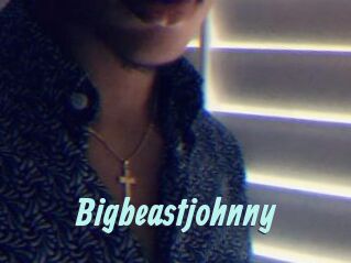 Bigbeastjohnny
