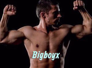 Bigboyx