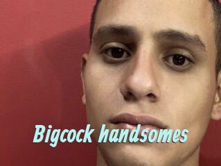 Bigcock_handsomes
