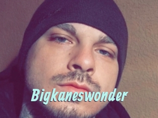 Bigkaneswonder