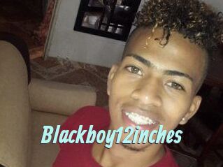 Blackboy12inches