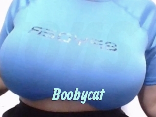 Boobycat