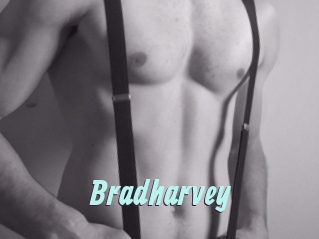 Bradharvey