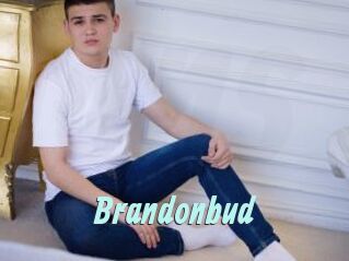 Brandonbud