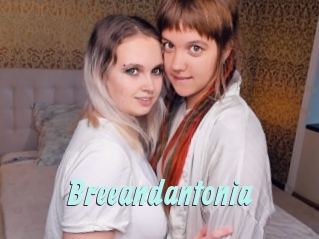 Breeandantonia