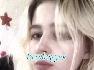 Breeboggus