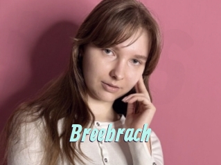 Breebrach