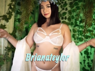 Brianateylor