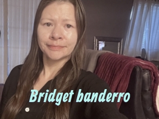 Bridget_banderro