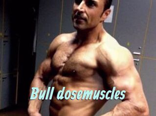 Bull_dosemuscles