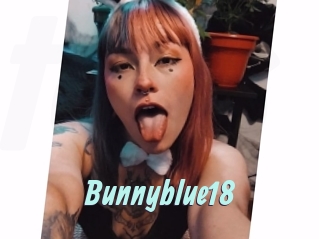 Bunnyblue18