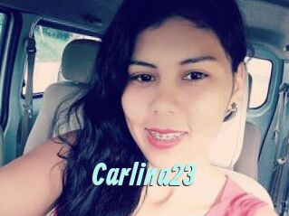Carlina23