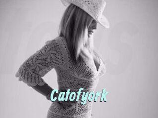 Catofyork