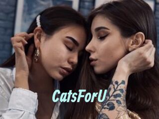 CatsForU