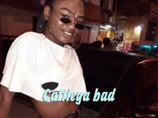 Cattleya_bad