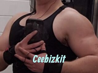 Ceebizkit