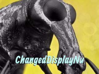 ChangedDisplayNu