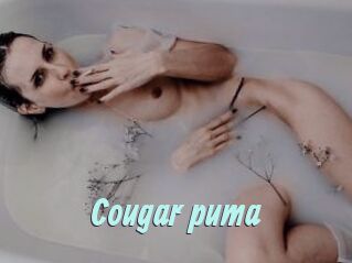 Cougar_puma