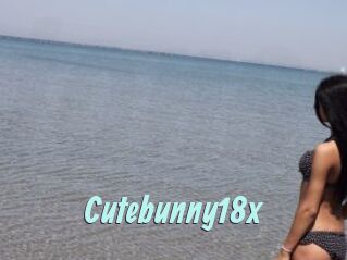 Cutebunny18x