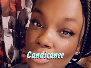 Candicanee
