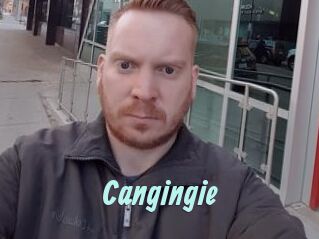 Cangingie