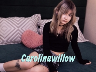 Carolinawillow