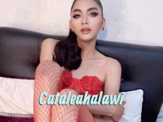 Cataleahalawi