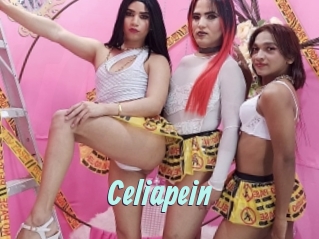 celiapein Ton Show