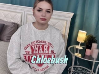 Chloebush