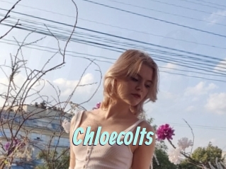 Chloecolts