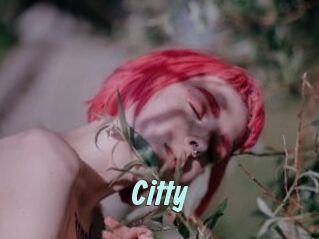 Citty