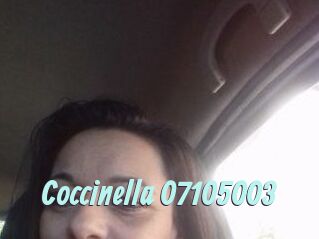 Coccinella-07105003