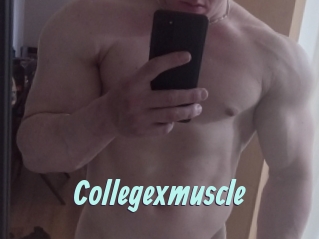 Collegexmuscle