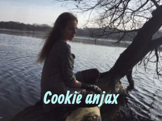 Cookie_anjax
